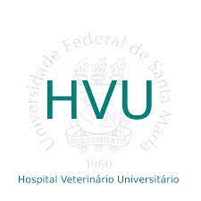 HUV - UFSM